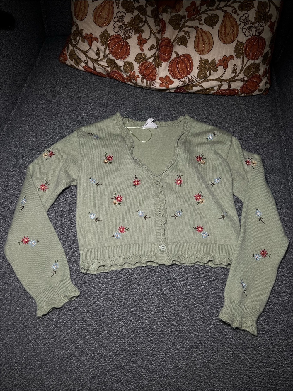 Cropped Sage Green Floral Embroidered Cardigan Sweater